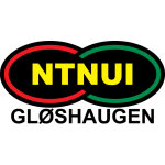 NTNUI